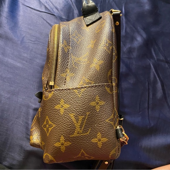 Louis Vuitton Palm Springs Backpack Mini Brown Canvas - Picture 6 of 15